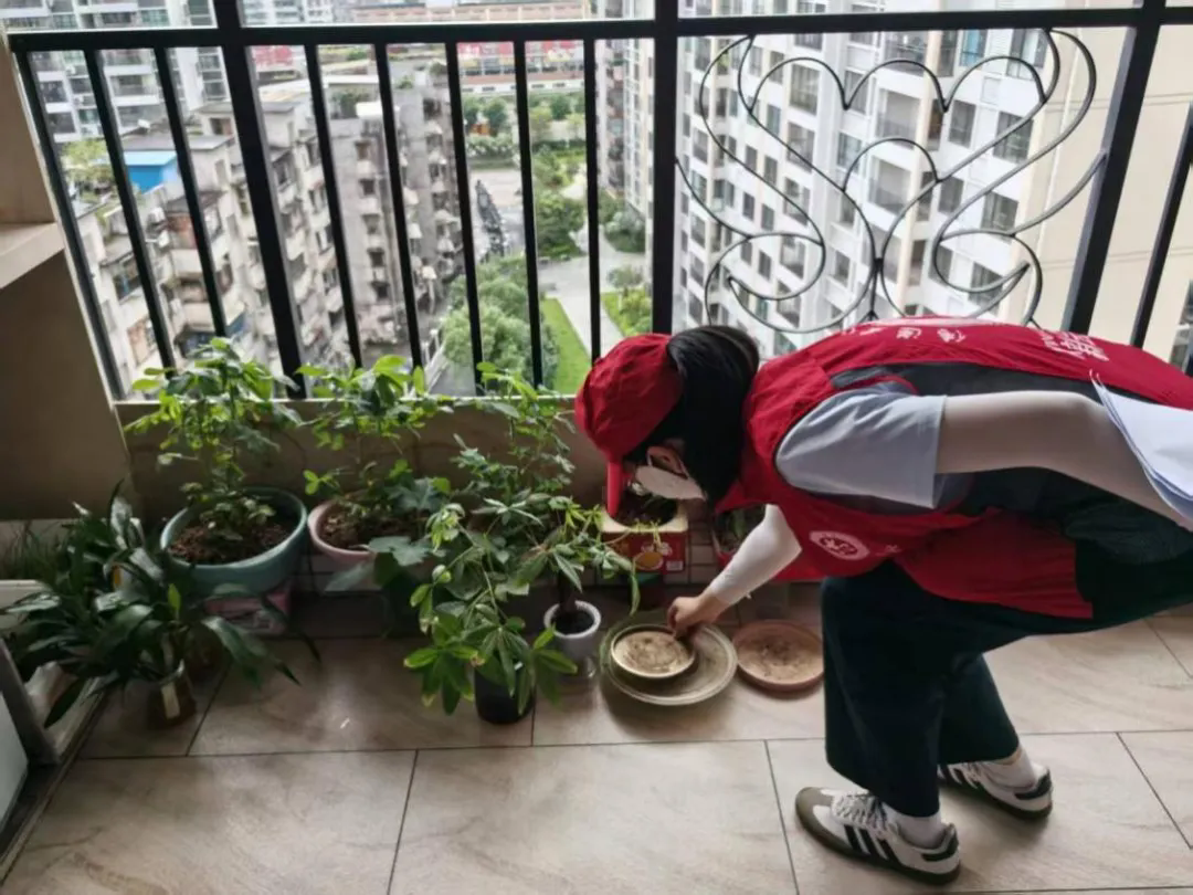 新會區紀委監委：堅持既“督...